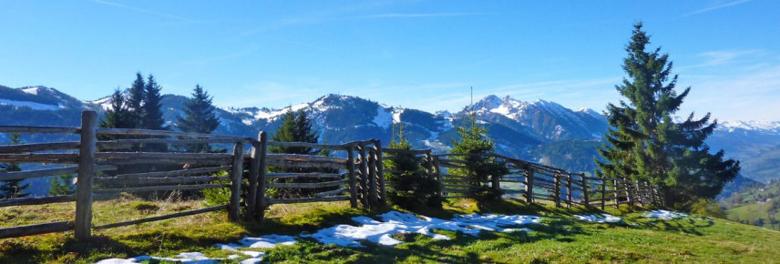 Ausblick vom Blankgut auf die Berge im Salzburger Land