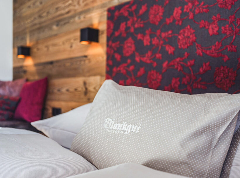 Alpin Ferienwohnung Wagrain Blankgut 4