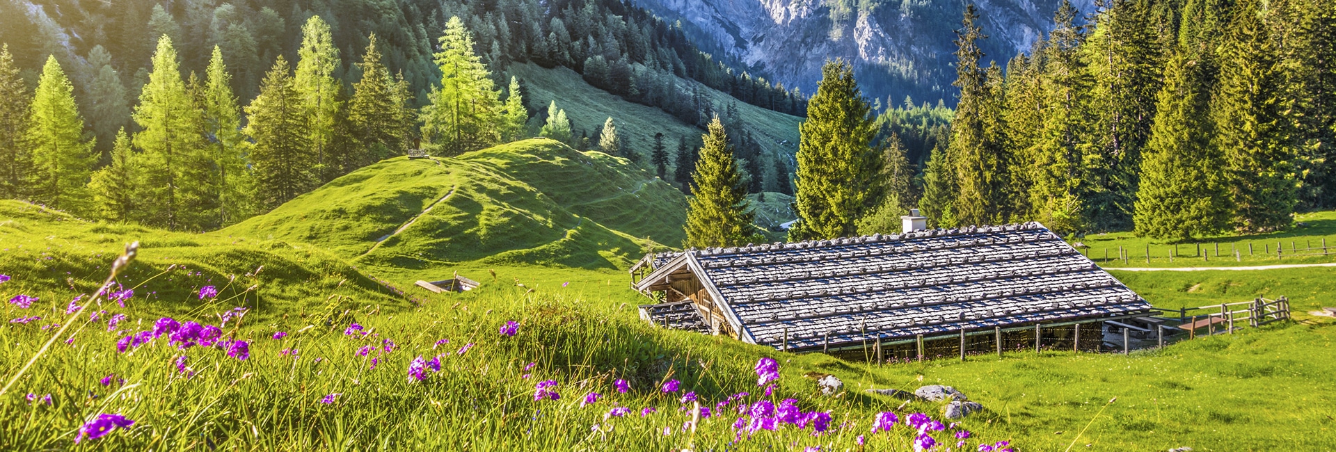 Bildergalerie – Blankgut in Wagrain - Bauernhofurlaub im Salzburger Land