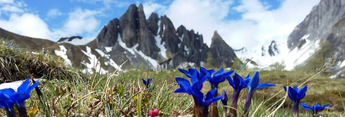 Impressum Blankgut in Wagrain - Urlaub am Bauernhof im Salzburger Land